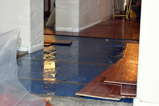 Professional Emergency Water Damage Restoration technician working in Cook Springs, AL